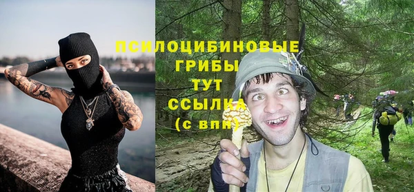 гашик Бугульма