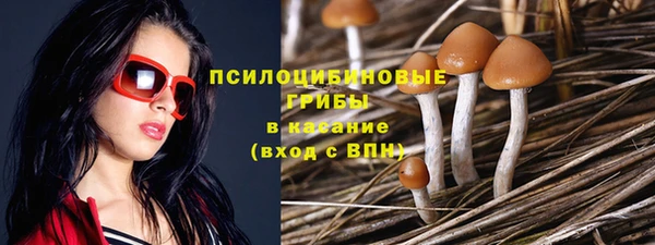 дмт Бронницы
