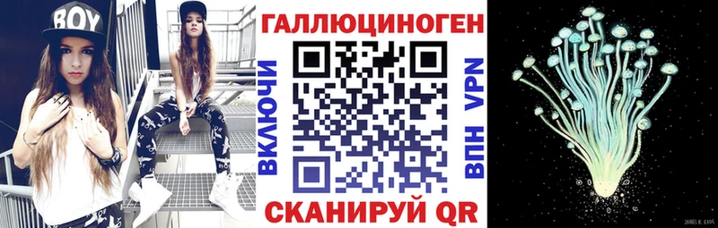 закладка  Новосибирск  ссылка на мегу ТОР  Галлюциногенные грибы мицелий 