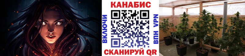 Бошки Шишки OG Kush Новосибирск